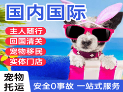 韶关机场快递国际宠物托运 【国